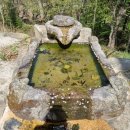 옥천사약수터 이미지