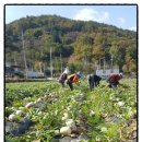 무주반디농장 이미지