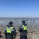 평택-평택-23 이미지