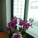 한성탑행정사 합동사무소 이미지