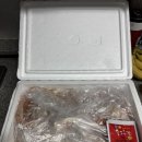 대풍수산 | [서울] 강서수산시장 대풍수산 레드킹크랩 인어교주해적단 퀵 배달 온누리상품권 가능(내돈내산)