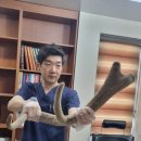 경희보성한의원 이미지