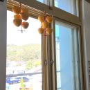 어울초등학교 | 다둥이 엄마의 운주초등학교 농촌유학 진심 후기