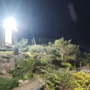 영광흑염소농장 이미지