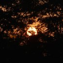 신방주유소 이미지