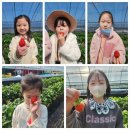 하나린유치원 | [대구신천동태권도]다온태권도 봄소풍 1탄 딸기체험을 가다~~~!!!