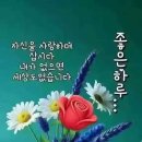 늘좋은날 - 홍성군 | 늘좋은날