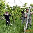 키다리농장 이미지