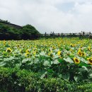 경숙농장 이미지