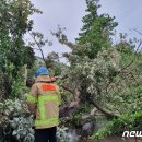 강정동-54 이미지