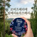 백야기업 | 로버츠베리에 빌 베리&라즈베리 찐 후기