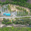 워시캠프 이미지