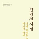 김영선 시집 / 이제 마음을 만나러 떠나려 하네 이미지