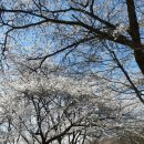 다향민박 이미지