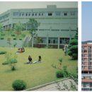 [학부모책] 나만의 속도로 가겠습니다 이미지