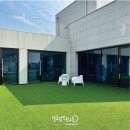 털로덮인친구들 애견유치원&애견호텔 수원시청역점 | [수원/매교/화서/인계동/애견(강아지)유치원/호텔] 크리스마스 포토데이 기록