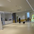 헬로우버디 판교밸리점 이미지