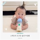 조구만 | 신생아 젖병 추천 투명한 소재 스펙트라 조구만 올셋 PA젖병 후기