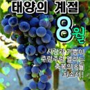 "인생은 멀리서 보면 희극이고, 가까이 보면 비극이다". 이미지