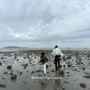 내리 어촌계 공중화장실 | 서울 근교 바다 여행 영흥도 십리포해수욕장 캠핑장 갯벌체험