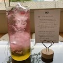 라라다온 네이버블로그