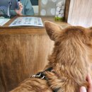 캐리커쳐 도전하기 이미지