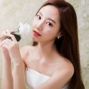 스타일샵 알루