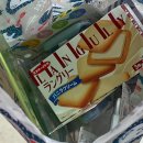 위니인터내셔날 | 입국 수속 80분😳 [호텔윙인터네셔널셀렉트하카타에키마에/키와미야함바그 후기/🇯🇵다이소 쇼핑/로손...