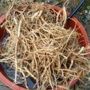 (주)정선환경 이미지