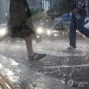 서울도 올해 첫 &#39;호우 긴급재난문자&#39;…1시간 50㎜ 이상 쏟아져 이미지