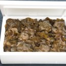 생목농장 이미지