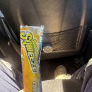 더크립24 | 호주 퍼스 35주차 / SINO IRON 스윙 또 불러주셔서 감사합니다 / 리오틴토 western tunnel / 링크포스 후기