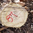 은평-087 이미지