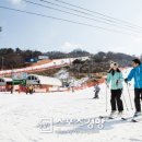 비발디파크
