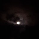 주목나무펜션 이미지