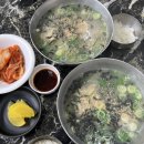 일품칼국수옥계양포점 네이버블로그