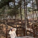 소요 별앤숲 테마파크 캠핑장 야영데크7 후기