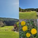 고성 Nobel 컨트리 클럽 | 경상도 골프장 추천 고성노벨CC 4월 라운드 후기