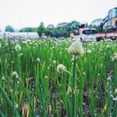 번영로28번길 이미지