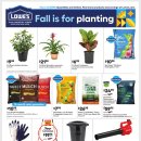 [ 하와이 생활상점 ] "Lowe's"(집수리/인테리어) :: Fall is for planting - 2024년 9월 5일 ~ 25일 이미지