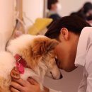 양희 - 동구 | 양희