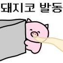 강남수제족발 이미지