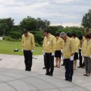 나라 카카오 검색결과