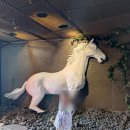 말무리목장 | 제주동쪽가볼만한곳 목장카페 드르쿰다 쿰다패스 후기