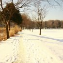 청사4길 이미지