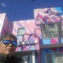 신안군농업기술센터 | 신안 압해 2025 압해도 보건지소 읍사무소 (구)압해농협 팰리스파크 아파트 벽화