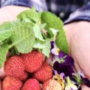 다정한이웃 이미지