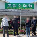 보리수화원 - 11710 | 보리수화원