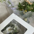 누아 스튜디오 비오는 날 웨딩촬영 후기(feat. 비바탐탐, 그해가을 헤어변형) 조태희 작가님