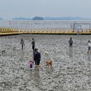 순천만 거차뻘배체험장 네이버블로그